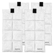 4 phase change cooling ice packs